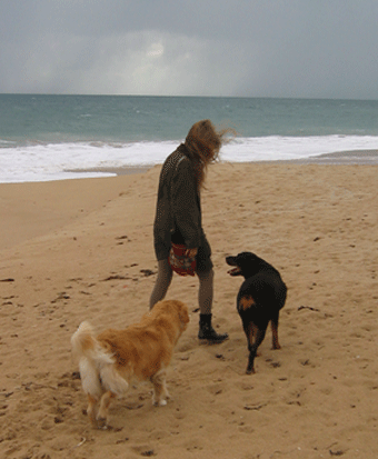 Margot, Cass and Bobby rambling on the beach
